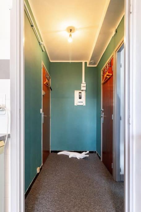 La Chambre Des Secrets / Parking / Wifi ตูลูส ภายนอก รูปภาพ